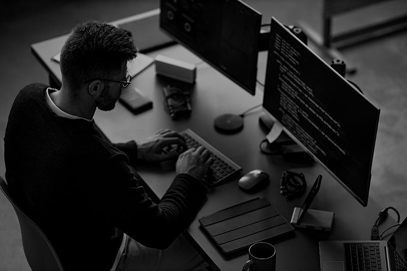 Softwareentwicklung an mehreren Bildschirmen als Referenz für Dienstleistungen